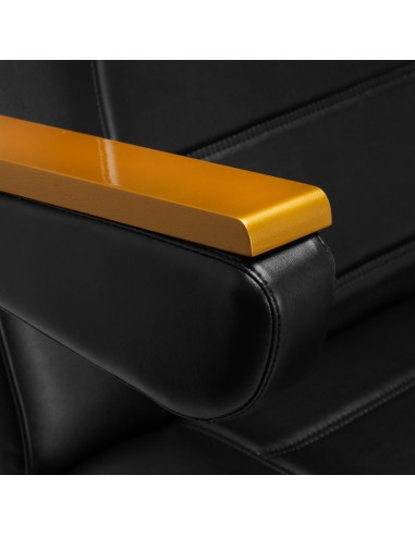 SILLON Lux 273b electric cosmetic chair 3 motors gold black