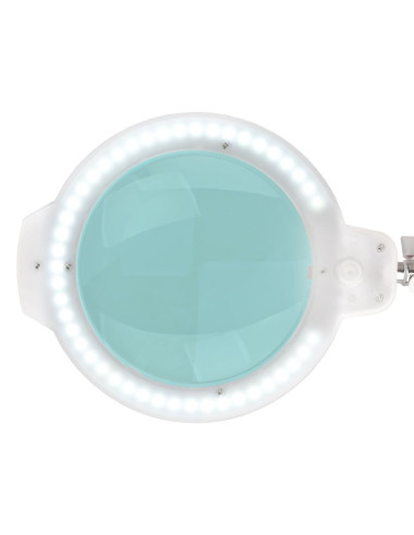 LED magnifying lamp moonlight 8013/6 "white for the table top
