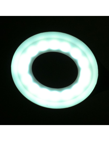 Ring led lamp snake on the desk white