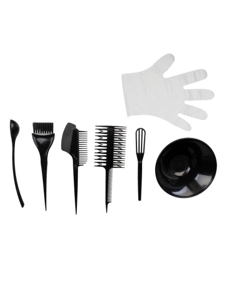 Kit for applying colorization paints c-08r
