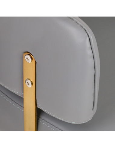 GABBIANO HAIRDRESSING CHAIR LINZ GOLD GREY