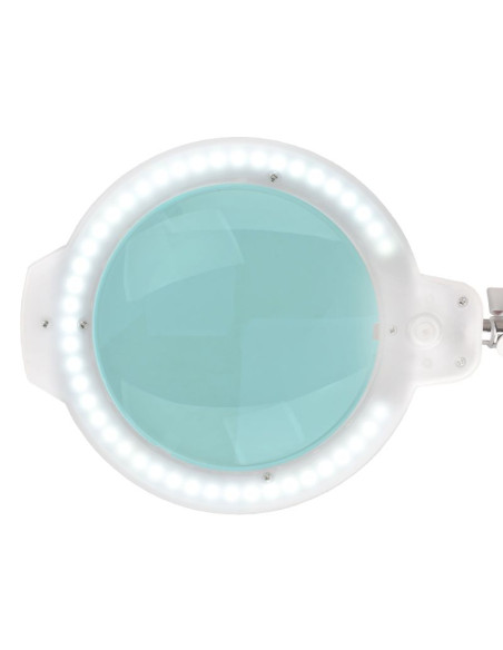 Moonlight 8012/5 "white LED magnifier lamp for table top