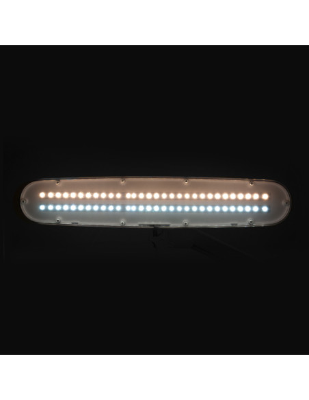 Elegant LED workshop lamp 801-tl with a reg. white light intensity and color