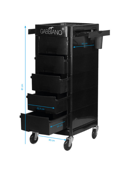 Gabbiano hairdressing assistant ft65-a black