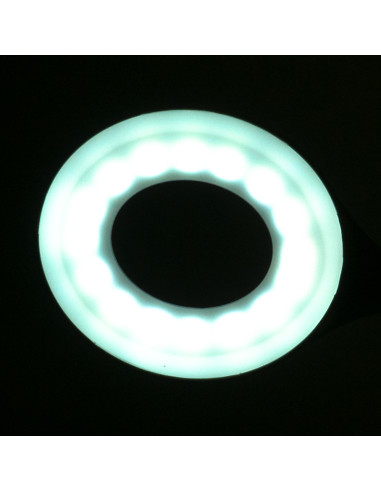 Ring led lamp snake on the desk white