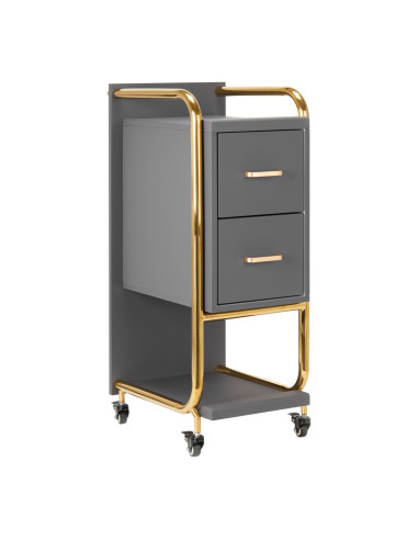 GABBIANO HAIRDRESSER TROLLEY SOLO GOLD GRAY