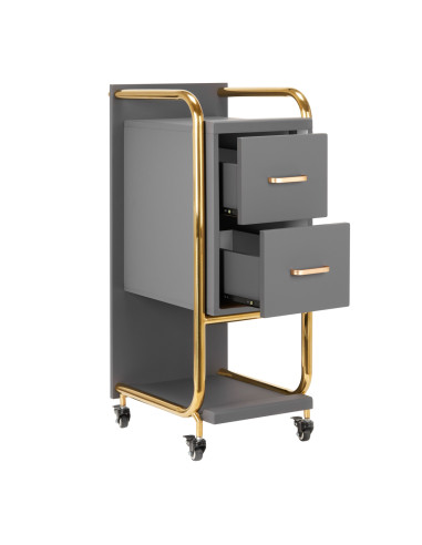 GABBIANO HAIRDRESSER TROLLEY SOLO GOLD GRAY
