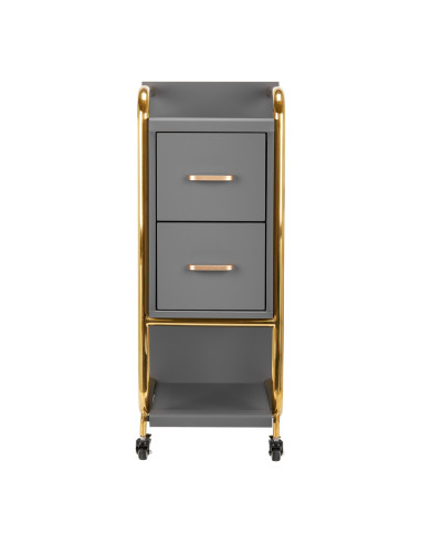 GABBIANO HAIRDRESSER TROLLEY SOLO GOLD GRAY