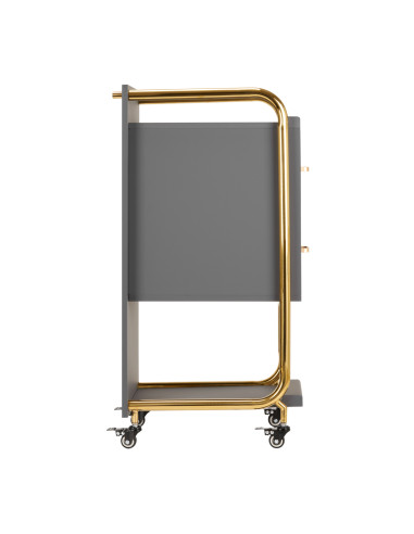 GABBIANO HAIRDRESSER TROLLEY SOLO GOLD GRAY
