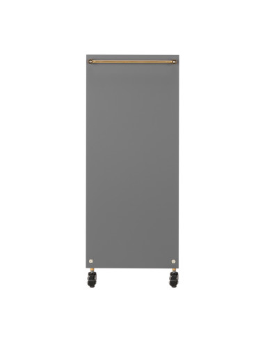GABBIANO HAIRDRESSER TROLLEY SOLO GOLD GRAY