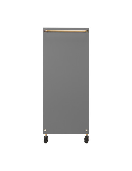 GABBIANO HAIRDRESSER TROLLEY SOLO GOLD GRAY
