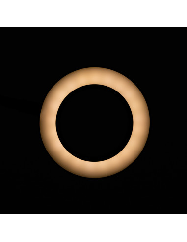 SNAKE RING LED LAMP LAMP ON A DESK BLACK
