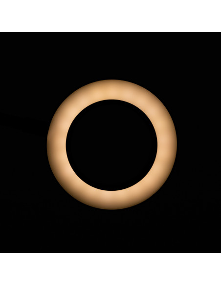 SNAKE RING LED LAMP LAMP ON A DESK BLACK