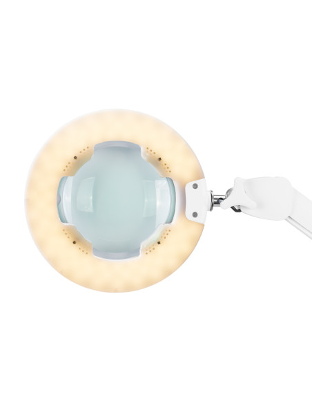 LED LUPA LED GLOW 8021 LAMP ADJUSTABLE COLOR OF LIGHT