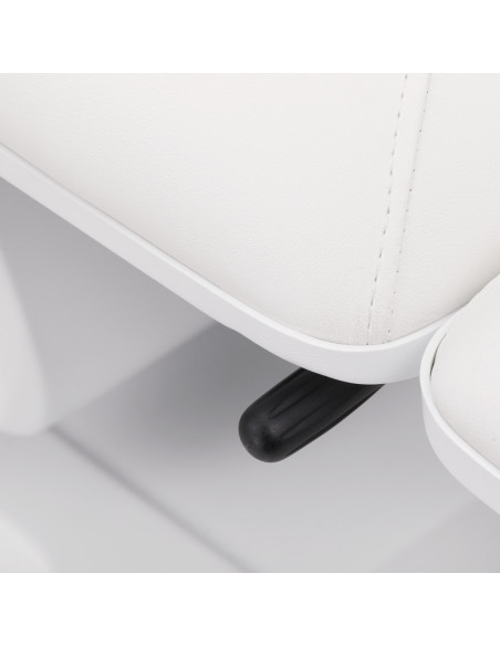 Sillon Basic electric cosmetic chair 3 motors white 