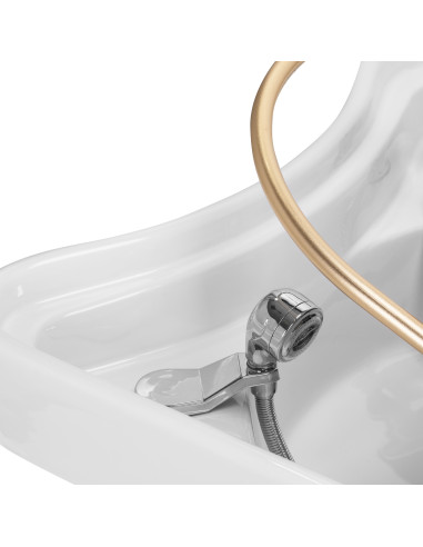 Gabbiano Head Spa 017 hair washing bed brown
