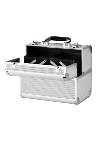 Cosmetic case 44 silver
