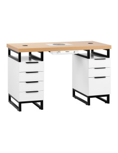 Nail desk MOMO L02 with dust absorber