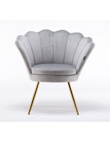 Hroove Salon Chair - Grey Velour BFHR1414