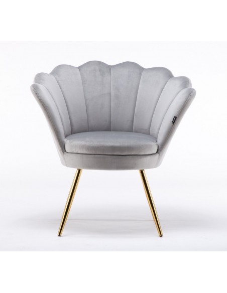 Hroove Salon Chair - Grey Velour BFHR1414