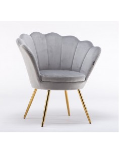 Hroove Salon Chair - Grey Velour BFHR1414
