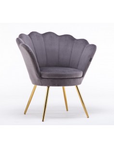 Hroove Salon Chair - Grey Velour BFHR1414