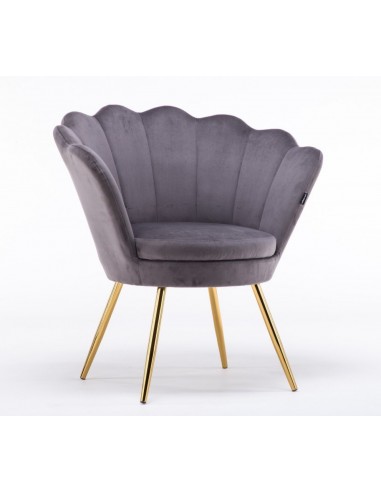 Hroove Salon Chair - Grey Velour BFHR1414