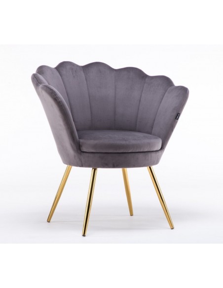 Hroove Salon Chair - Grey Velour BFHR1414