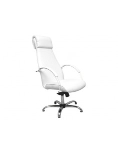 Beauty Salon Chair - PM - Pedicure - Make-up
