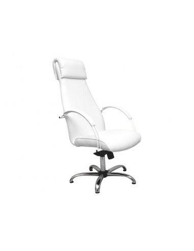 Beauty Salon Chair - PM - Pedicure - Make-up