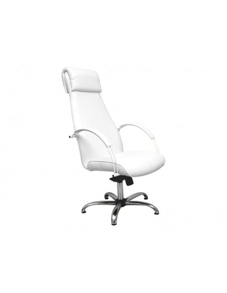 Beauty Salon Chair - PM - Pedicure - Make-up